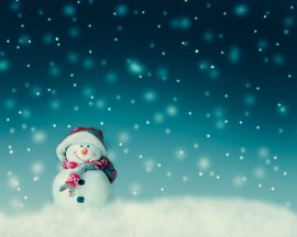 Holiday Wellness